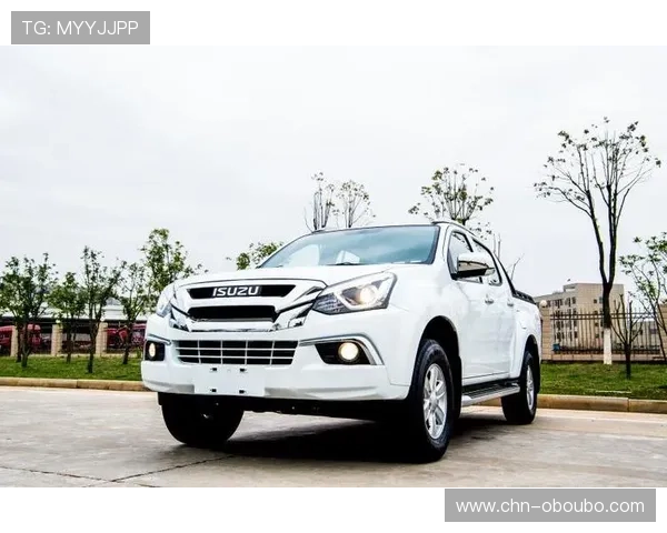 欧博二代D豪华版外观设计焕新，彰显豪华气质与时尚前沿的完美结合