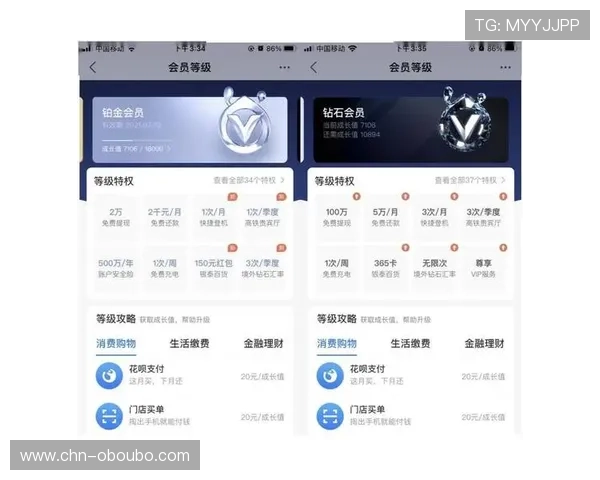 欧博会员等级划分及升级路径详解，助你轻松提升会员等级